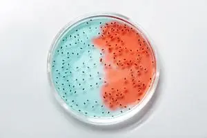 PocDoc Test Kit